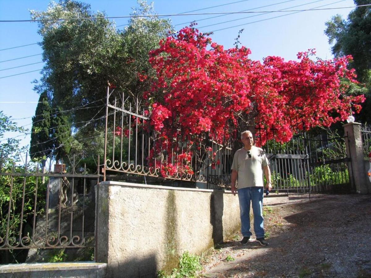 Villa Margarita Agios Ioannis Peristerion Exterior photo