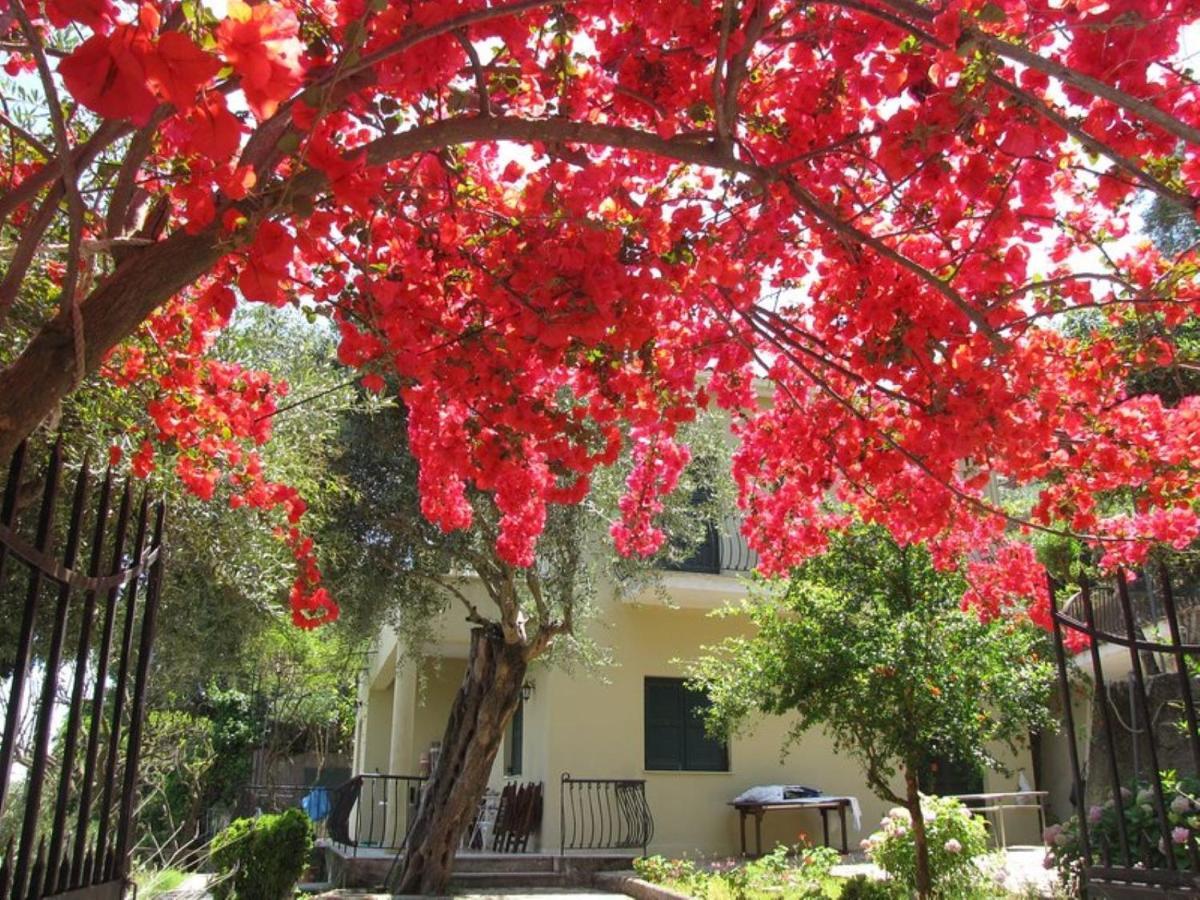 Villa Margarita Agios Ioannis Peristerion Exterior photo